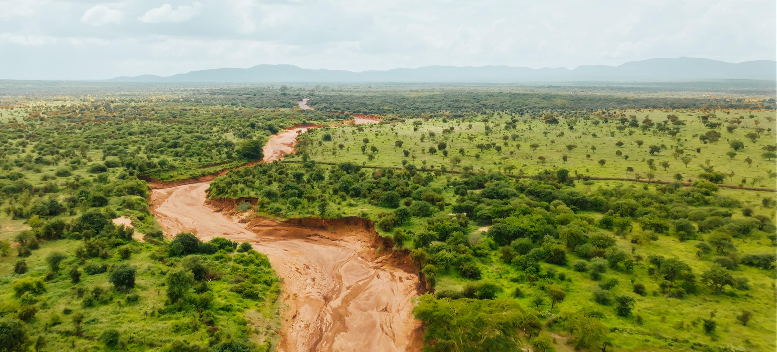 Dirt pathway in South Africa with nature around it 