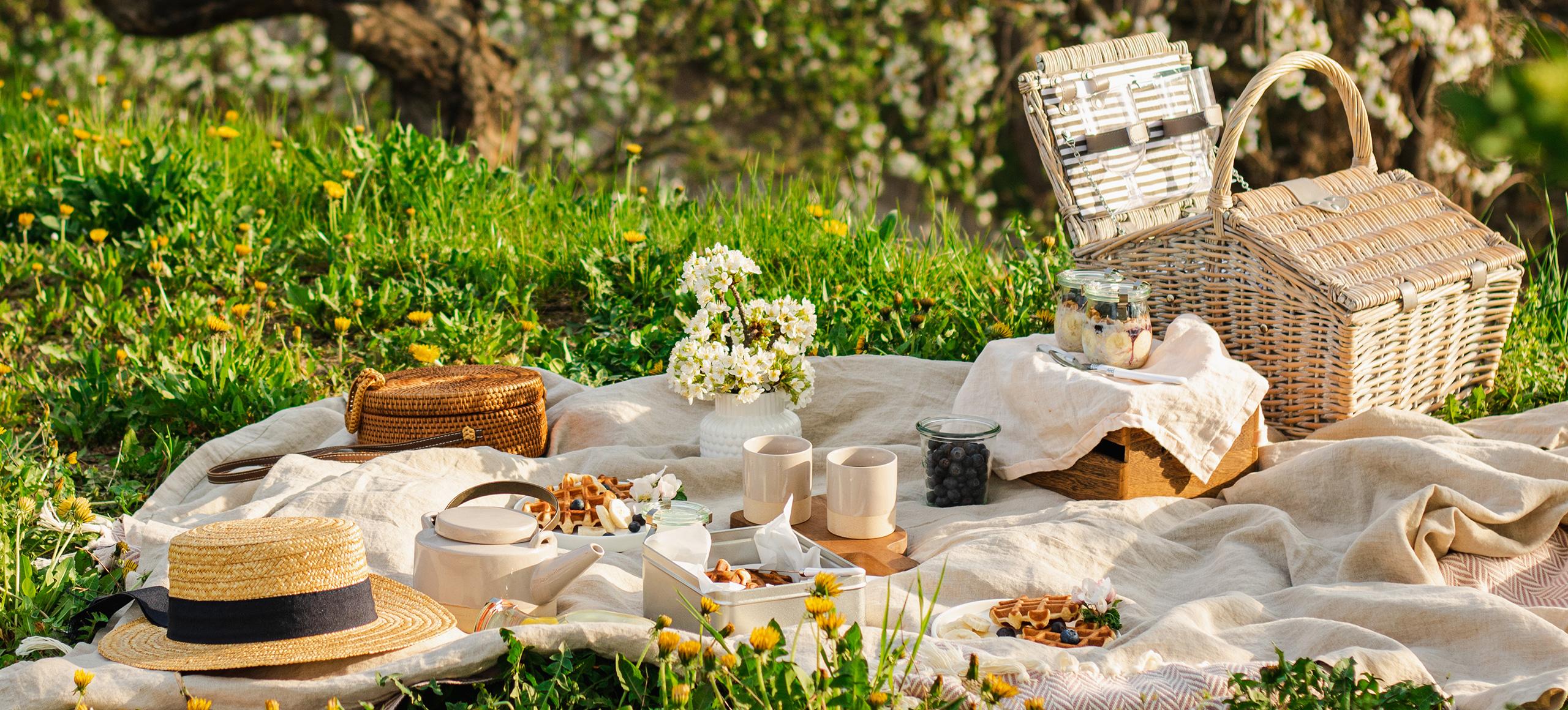 Sustainable picnic on grass