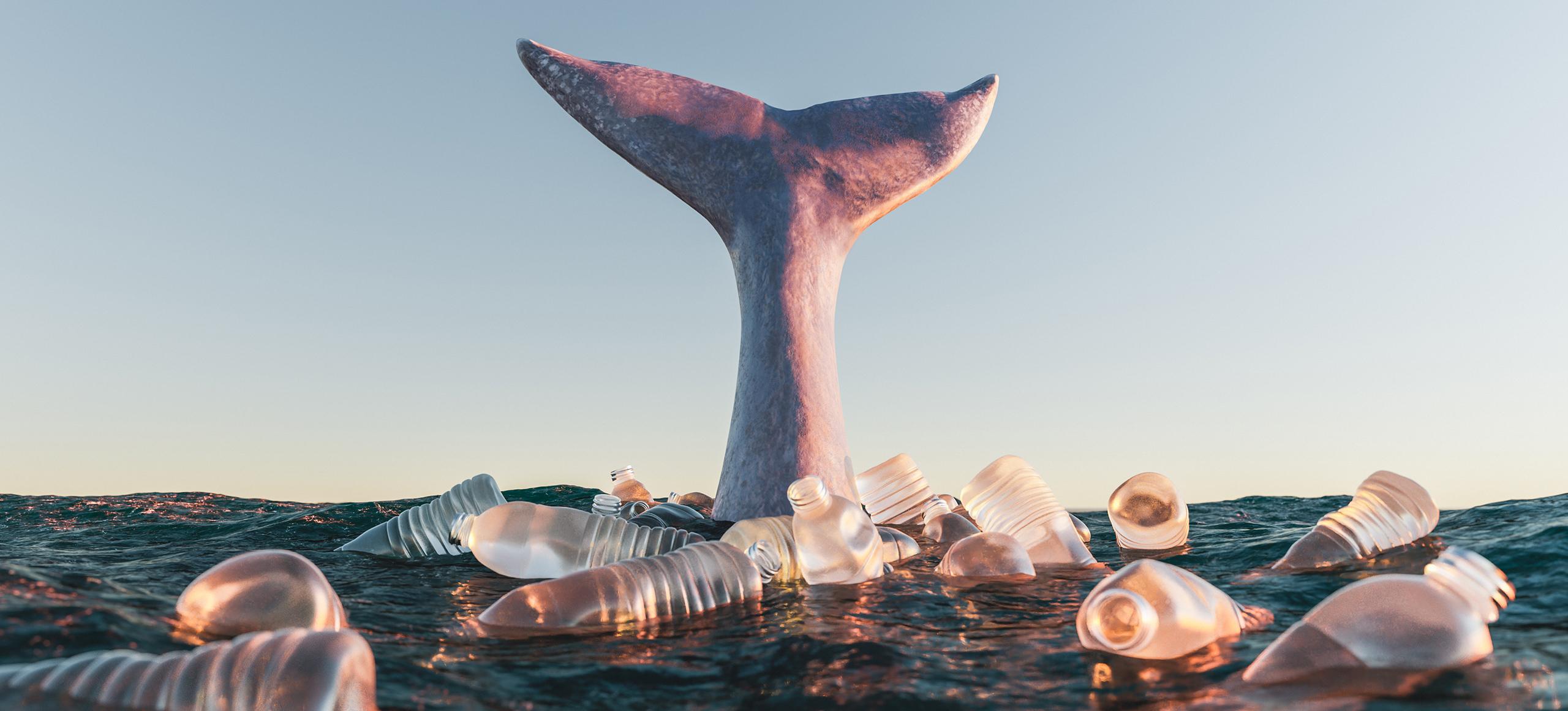Whale fin in the sea with plastic bottles surrounding it.