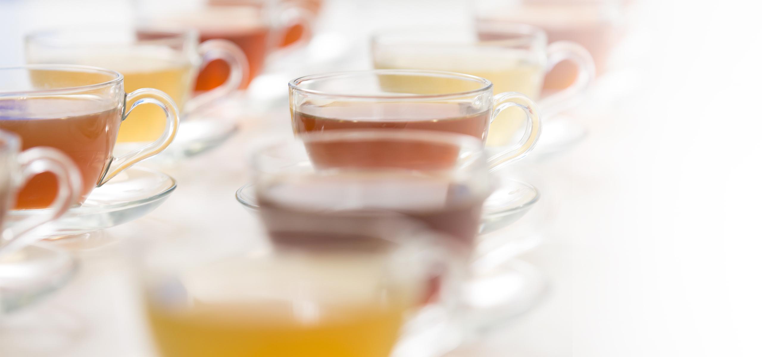 BRITA sensory lab tea test