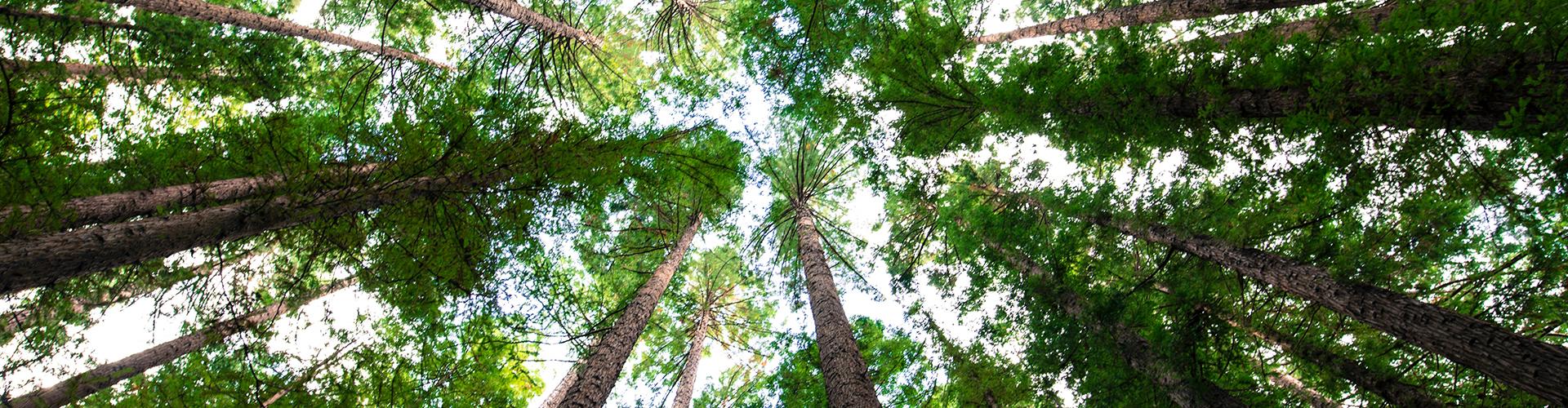 Sustainability (1920x500)