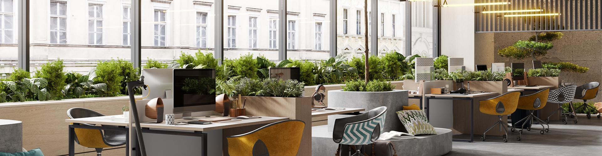 Well-being Banner Desktop (1920x500)